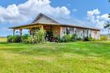 16406 Coker Gully Road - Photo 3