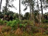  Cissus Avenue - Photo 1