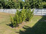 549 Tarpon Boulevard - Photo 53