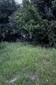  135 Lane - Photo 2