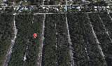 430 Hummingbird Avenue - Photo 1