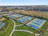 2637 Star Apple Way - Photo 38
