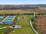 2637 Star Apple Way - Photo 39