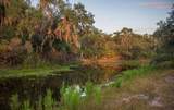 1061 Harris Road - Photo 25