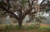 1061 Harris Road - Photo 33
