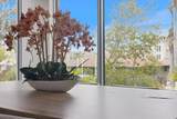 600 De Narvaez Drive - Photo 14