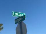 2402 Larkspur Drive - Photo 12