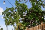 105 Tucker Avenue - Photo 85