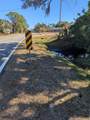 Lots 1,2&3 De Leon Drive - Photo 16
