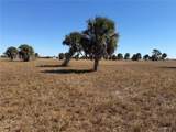 24 Lark Drive - Photo 4