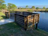 16178 Trading Post Road - Photo 6
