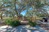 850 Palm View Way - Photo 47