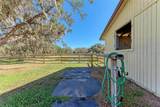 850 Palm View Way - Photo 51