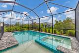 2617 Star Apple Way - Photo 23