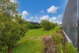 2617 Star Apple Way - Photo 25