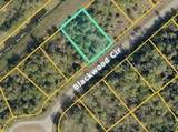  Blackwood Circle - Photo 1
