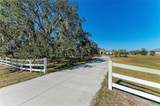 16315 Hidden Horse Way - Photo 7