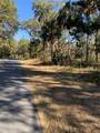 12148 Standish Drive - Photo 7