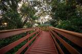 6704 Arbor Oaks Drive - Photo 47