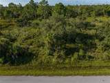 13211 Chiminiello Drive - Photo 14
