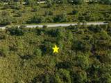 13211 Chiminiello Drive - Photo 5
