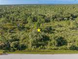 13211 Chiminiello Drive - Photo 8