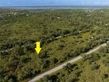 13211 Chiminiello Drive - Photo 9