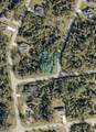  Blueberry Road - Photo 2