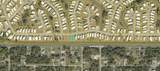 5100 Palena Boulevard - Photo 2