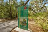 5524 Palm Aire Drive - Photo 61