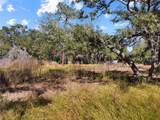 12111 Fred Drive - Photo 17