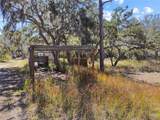 12111 Fred Drive - Photo 2
