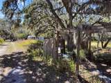 12111 Fred Drive - Photo 3