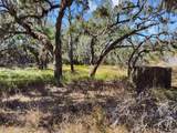 12111 Fred Drive - Photo 4