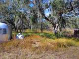 12111 Fred Drive - Photo 6