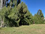 75 Green Dolphin Drive - Photo 4