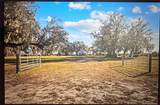 8423 Pine Level Street - Photo 1