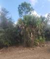  San Mateo Drive - Photo 5