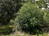 Lot 16 Rentscher Avenue - Photo 1