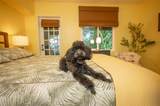 504 58TH Street - Photo 24