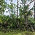 Lot 17 Donatello Avenue - Photo 5