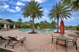 6215 Anise Drive - Photo 29