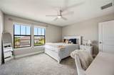 6207 Talon Preserve Drive - Photo 28