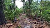 12817 Upper Manatee River Road - Photo 10