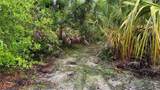 12817 Upper Manatee River Road - Photo 14