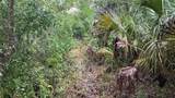 12817 Upper Manatee River Road - Photo 16