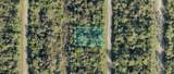 1125230813 Annatto Street - Photo 1