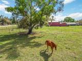 16031 Winburn Drive - Photo 39