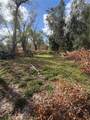1211 Eucalyptus Avenue - Photo 11