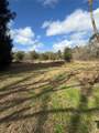 1211 Eucalyptus Avenue - Photo 13